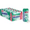 mentos pure fresh spearmint karton 10ks nejkafe cz