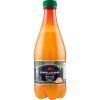 San Pellegrino Aranciata Amara hořký pomeranč 450 ml