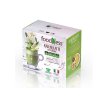 zdravy napoj foodness zensen matcha caj kapsle do dolce gusto 10 kusu