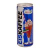 ledova kava ice eiskaffee hochwald plech 250ml nejkafe cz