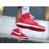 Nike Dunk High First Use Red