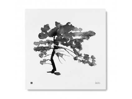Plakát Pine Tree 50x50