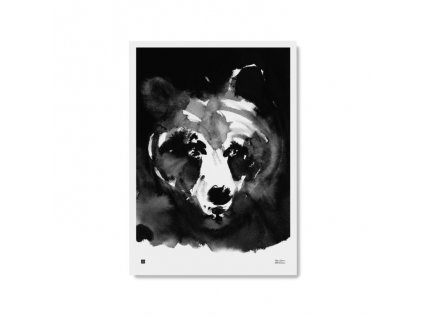 Plakát s motivem medvěda Mysterious bear 50x70