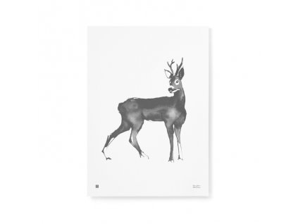 Plakát s motivem srnce Roe Deer 50x70