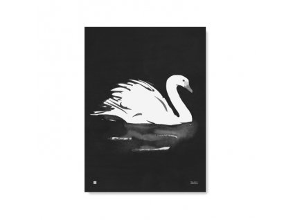 Plakát s motivem labutě Swan 50x70
