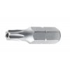 torx s otvorem