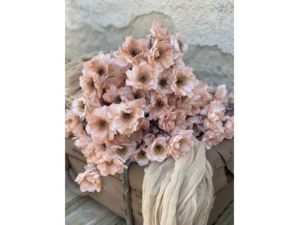 40,Anemone vetva losos