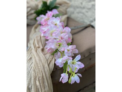 67,Delphinium ružový4