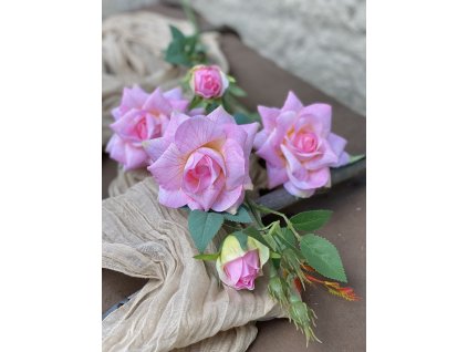 69,Ruža mnohokvetá ružová5