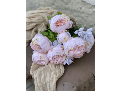 72,Peonia+hortenzia kytica4