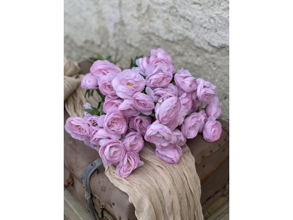 136.Ranunculus ružový1