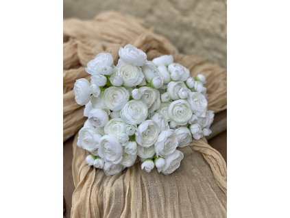 5. Ranunculus zväzok 1