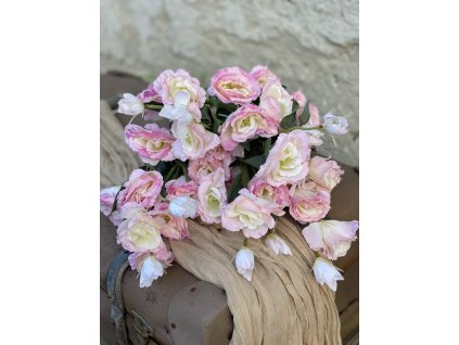 150.Lisianthus staroružový1