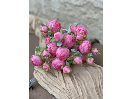 153.Ranunculus bledocyklámenový1