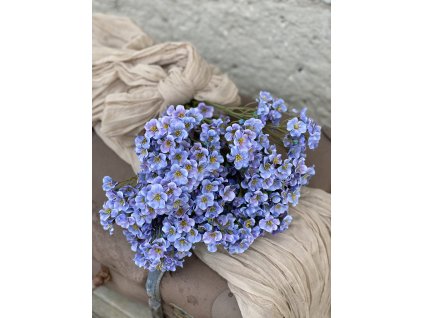 170.Campanula fialová1