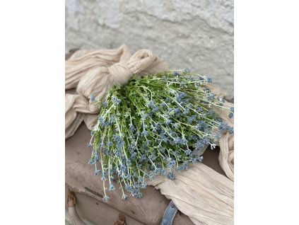 188.Lúčna kytica modrá1