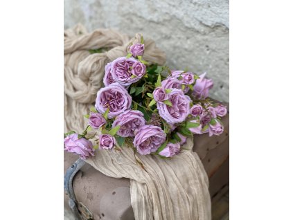 194.Ruža mnohokvetá plnokvetá staroružová1