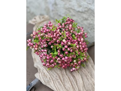 199.Bobule ružové1