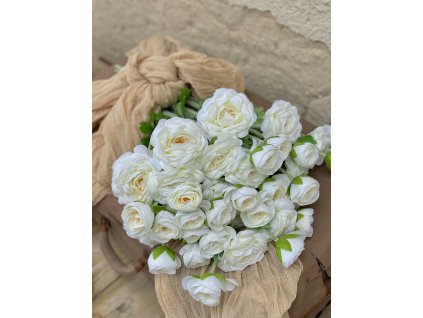 11. Ranunculus krém 1