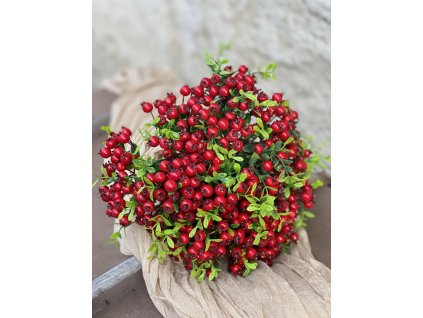 201.Bobule červené1