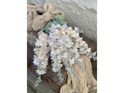 209.Matthiola broskyňová1