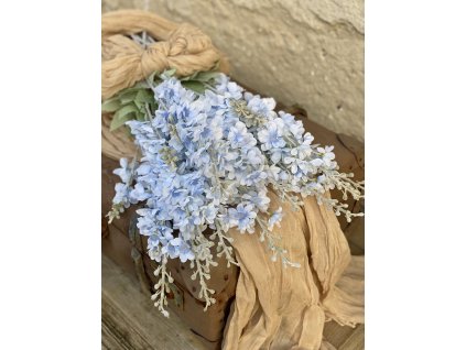 213.Matthiola modrá1