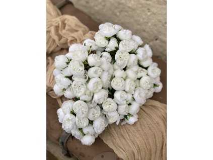 227.Mini peonia zväzok biely1