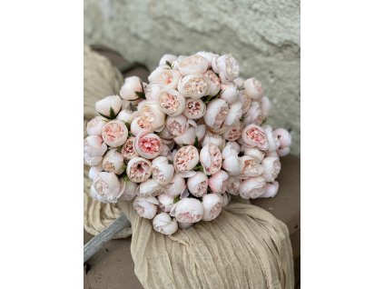 228.Mini peonia zväzok ružovobroskyňový1