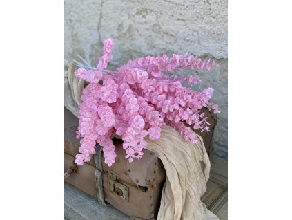 254.Eukalyptus vetva ružová1