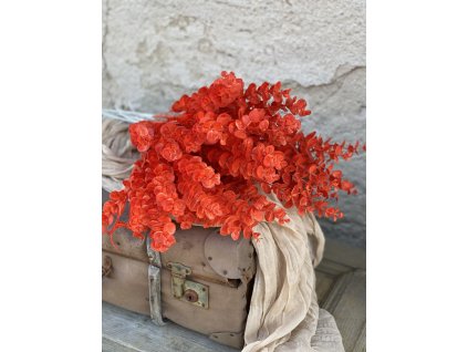 258.Eukalyptus vetva tmavooranžová1