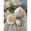 32,Ruža viackvetová broskyňová2