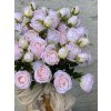 70,Ruža mnohokvetá svetloružová6