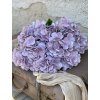 79,Hortenzia kytica bledofialová1