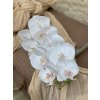 8. Phalenopsis latex biela 4