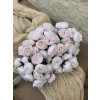 225.Mini peonia zväzok bledoružový1