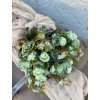 241.Mini kytica ruží zelená1