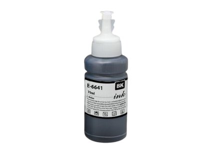 Epson T6641