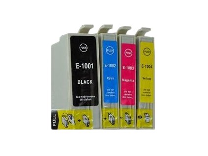 Epson T1005