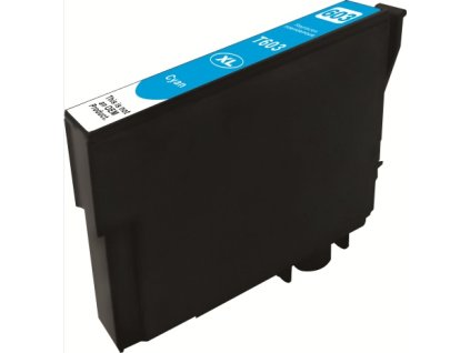 Epson T03A24