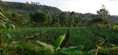 Francouzská značka USHUAIA
