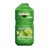 Ushuaia citrusy 280ml