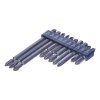 SK11 10-piece Screwdriver Bit Set with Holder - SCB-101
