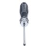 SK11 Ratchet Screwdriver - SL5 x 100 mm- No.900