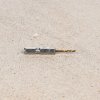 SK11 TiN-Coated Metal Drill Bit - 1.8 mm