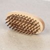 SK11 Japanese Oval Wire Brush with Plated Bristles, 6 Rows - No.103