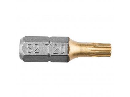 Torx bit TX20 x25mm 1/4" 2Ks 57H973 Graphite