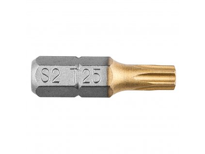 Torx bit TX25 x25mm 1/4" 2ks 57H974 Graphite