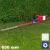 ELHT400281