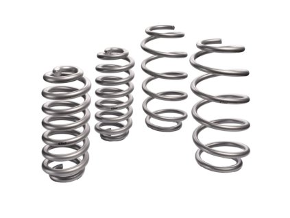coil springs set 30 50 kg eibach lift 12