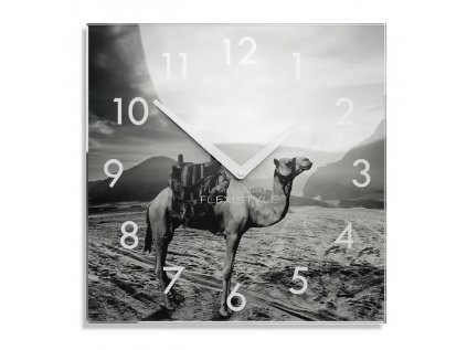 Nástenné akrylové hodiny CAMEL - 30cm